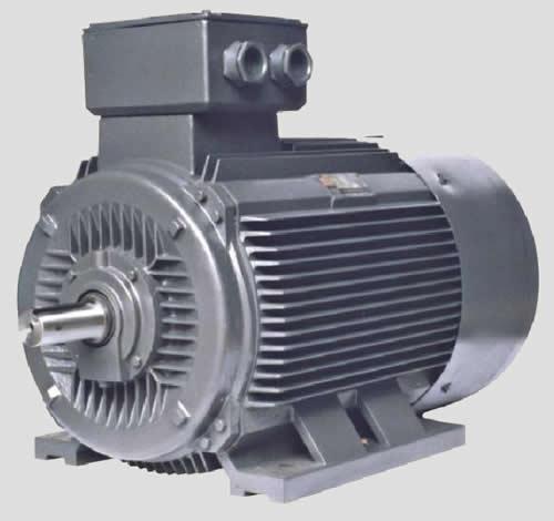 Y系列三相異步電動機(jī)